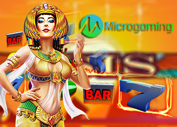 MICROGAMING