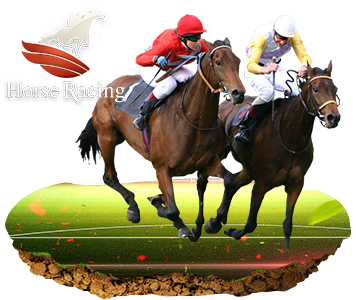 afb-sports-football-betting